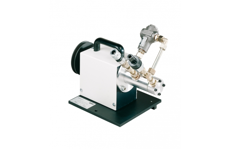 Screw pump